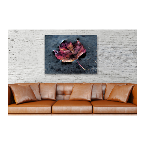 Floating Leaf Canvas Print