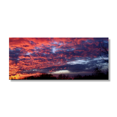 Another Day Gone Canvas Print