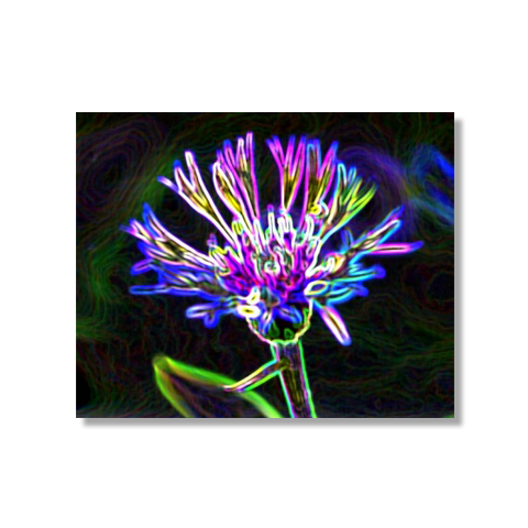 Neon Flower Canvas Print